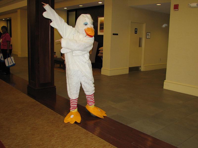 IMG_4486.JPG - Next on the agenda is the Ducky Derby drawing at pool side.  Mr. Ducky points the way to the pool.  Come on, folks.  Big drawings with big dollars will be given: $300, $200 and $100 among the cash prizes.  See the CDKF photo story in this issue.